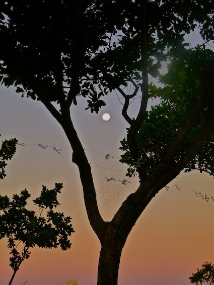 sunset moonrise